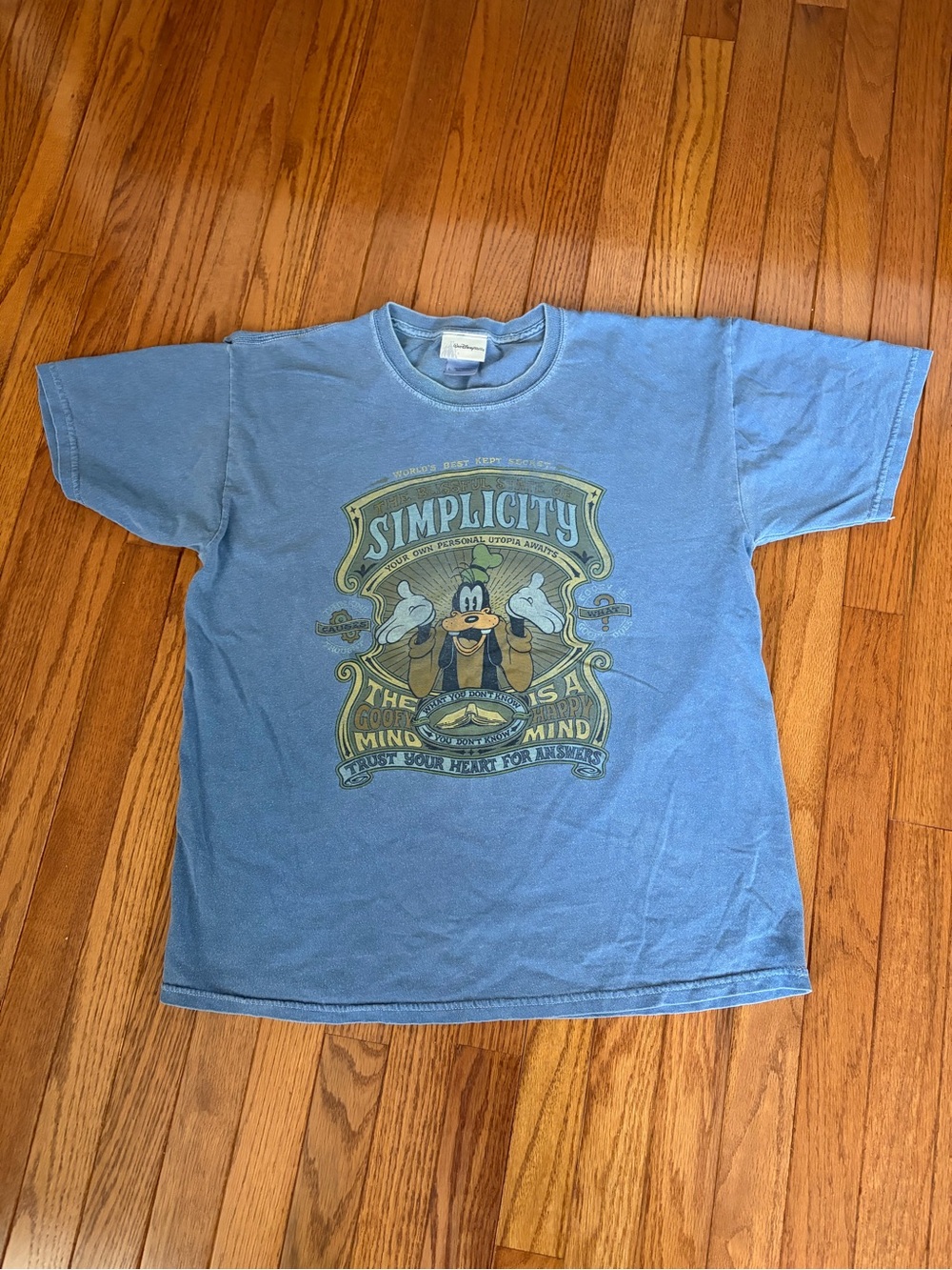 Disney Men's Blue Goofy 'Simplicity' Graphic Tee